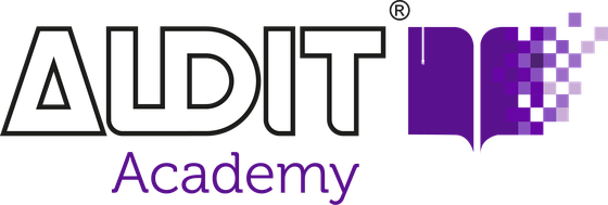 AUDIT Academy